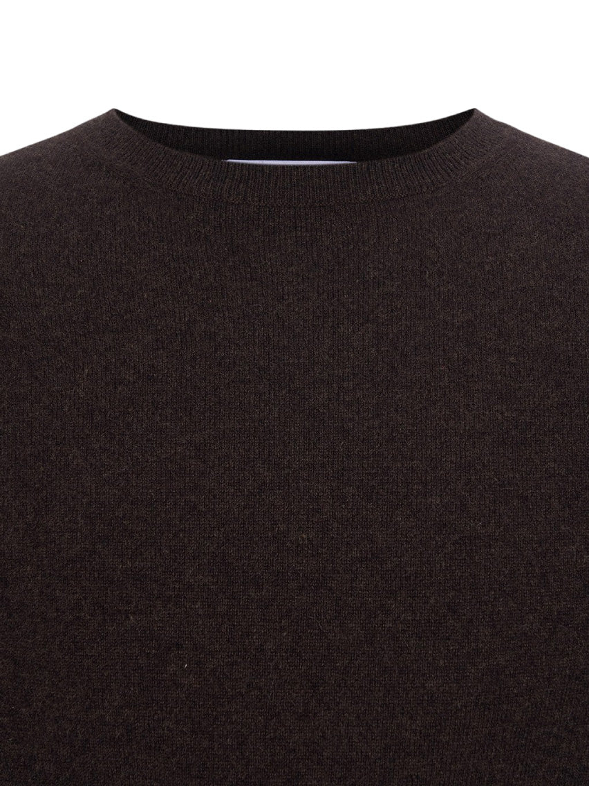Cashmere Crewneck Knit Brown