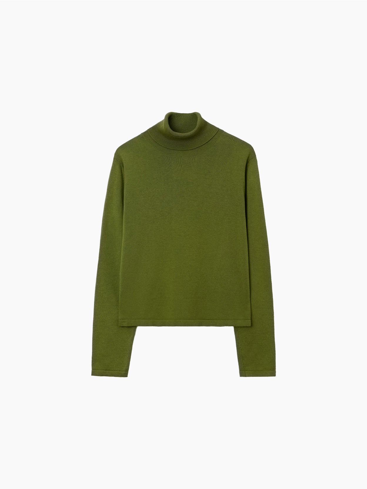 The Cordera Cotton & Cashmere Sweater in Woodbine, showcased against a plain white backdrop, is a green, long-sleeved turtleneck sweater. Crafted from superior materials including cotton and cashmere, this elegant piece features a simple and classic design with a straight cut and no visible embellishments, complemented by a high roll-neck collar for added sophistication.