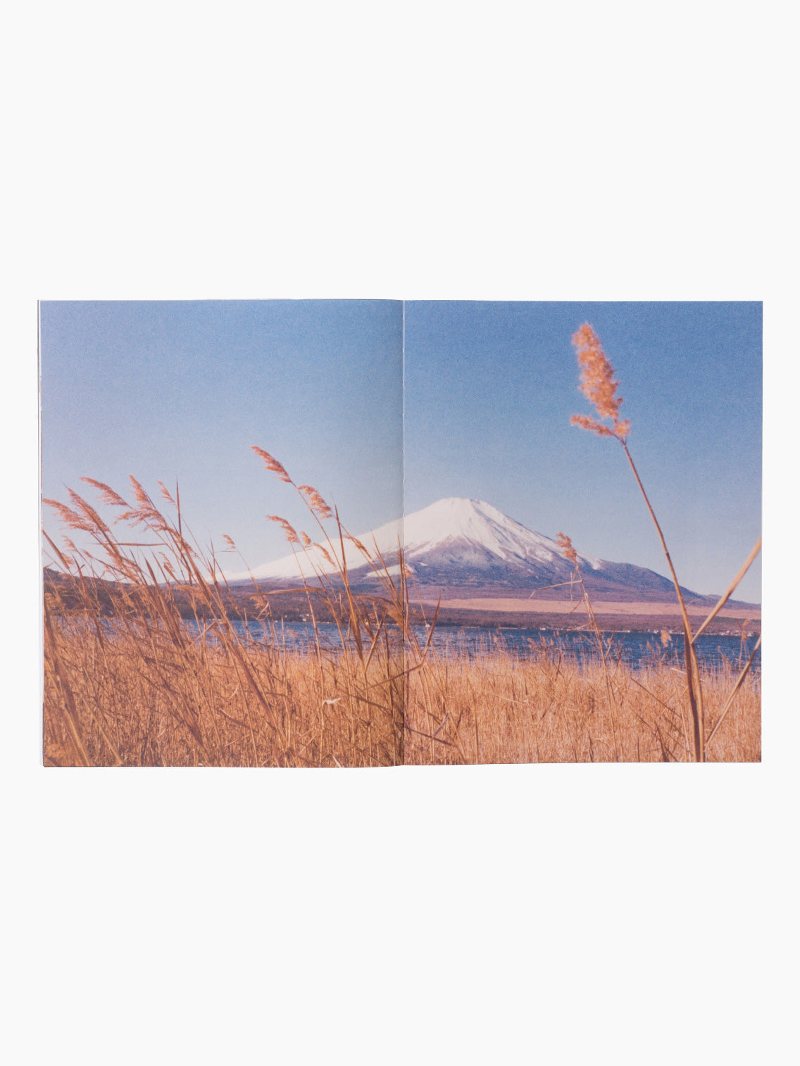 Stillz (Second Edition)