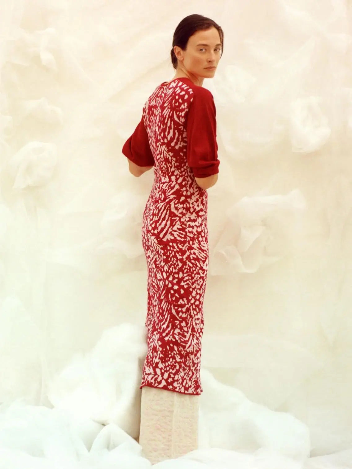 Carmesi Feathers Dress Clea Stuart